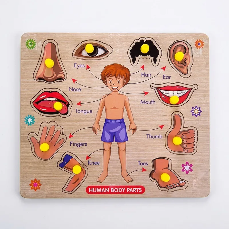 Wooden Human Body Parts Puzzle for Kids | Montessori Educational Knob Board Toy | Learning Anatomy Puzzle for Toddlers (3+ Years)