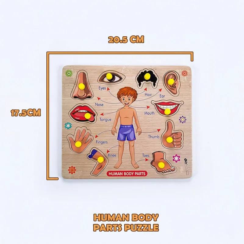 Wooden Human Body Parts Puzzle for Kids | Montessori Educational Knob Board Toy | Learning Anatomy Puzzle for Toddlers (3+ Years)